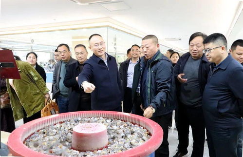 朱法栋调研重点工业项目和企业