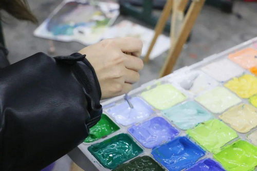 走进枣院 团团带你走进美院学子的精致日常