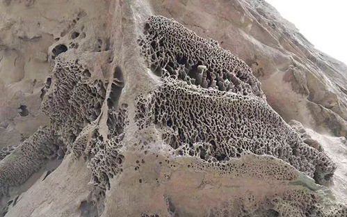 天然地质奇观,建南杨东河十里 壁画 长廊美不胜收