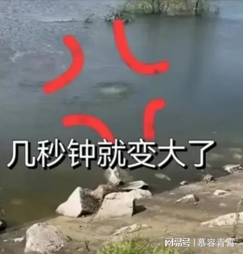 砂石画中的洞庭湖决堤之困